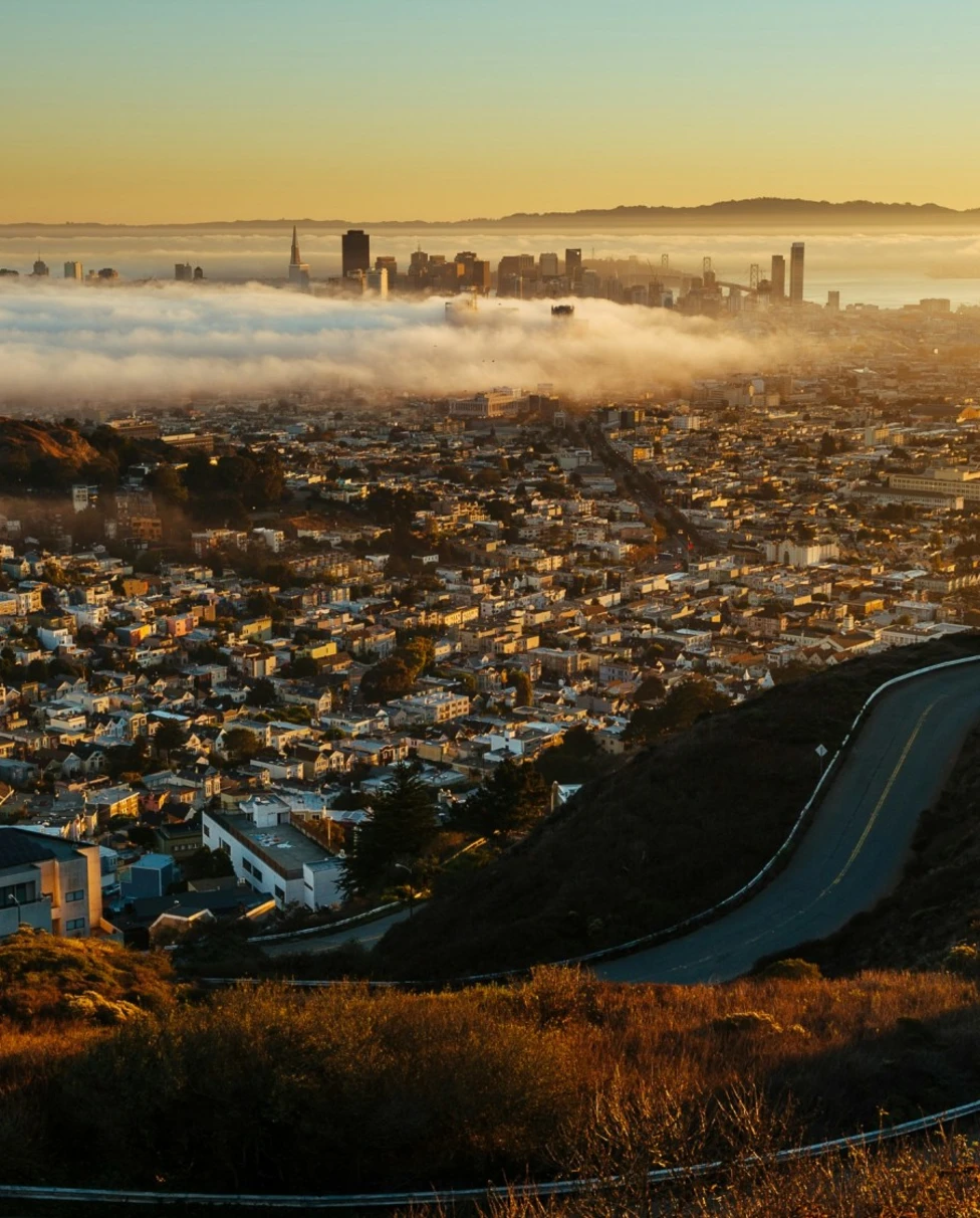 Aerial view of San Francisco city.