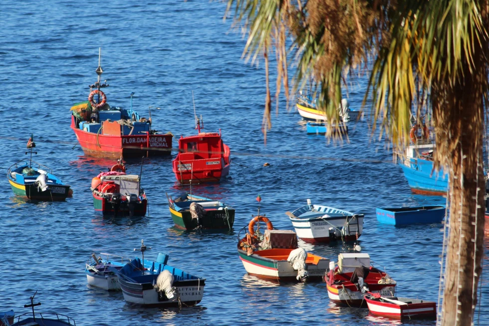Câmara de Lobos village with little wooden boats on the water. 