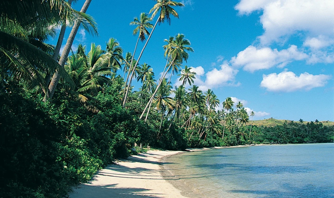 idyllic white-sand beach with palm trees