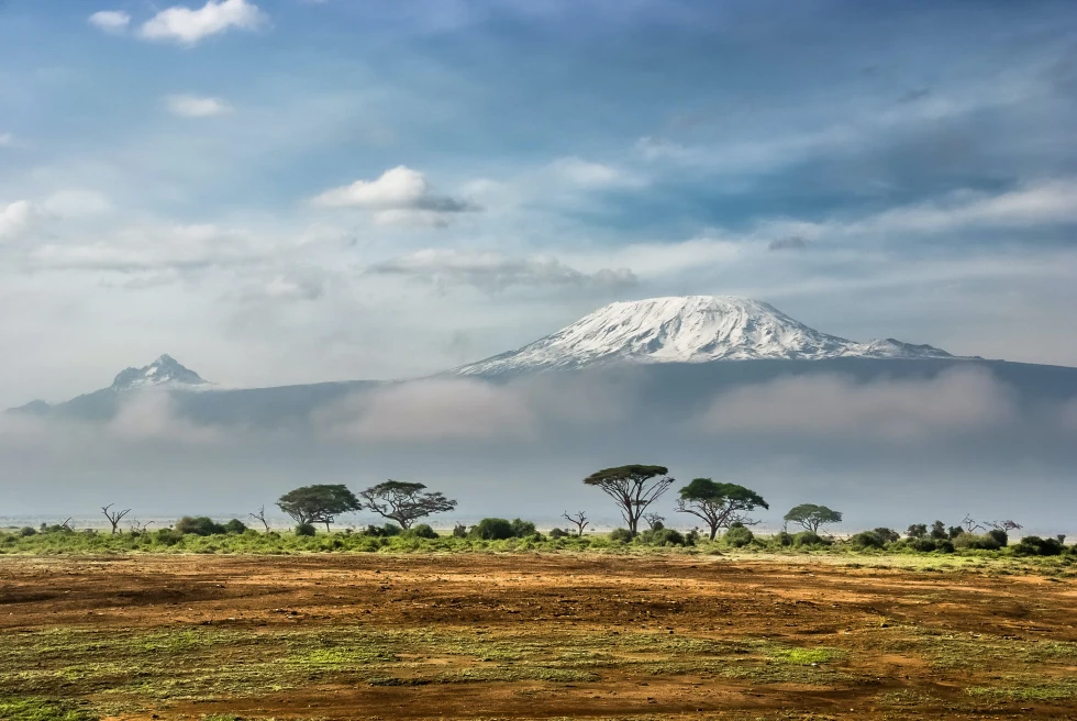 View of a white snow covered Mount Kilimanjaro across a green grassy and brown dirt field with tall trees