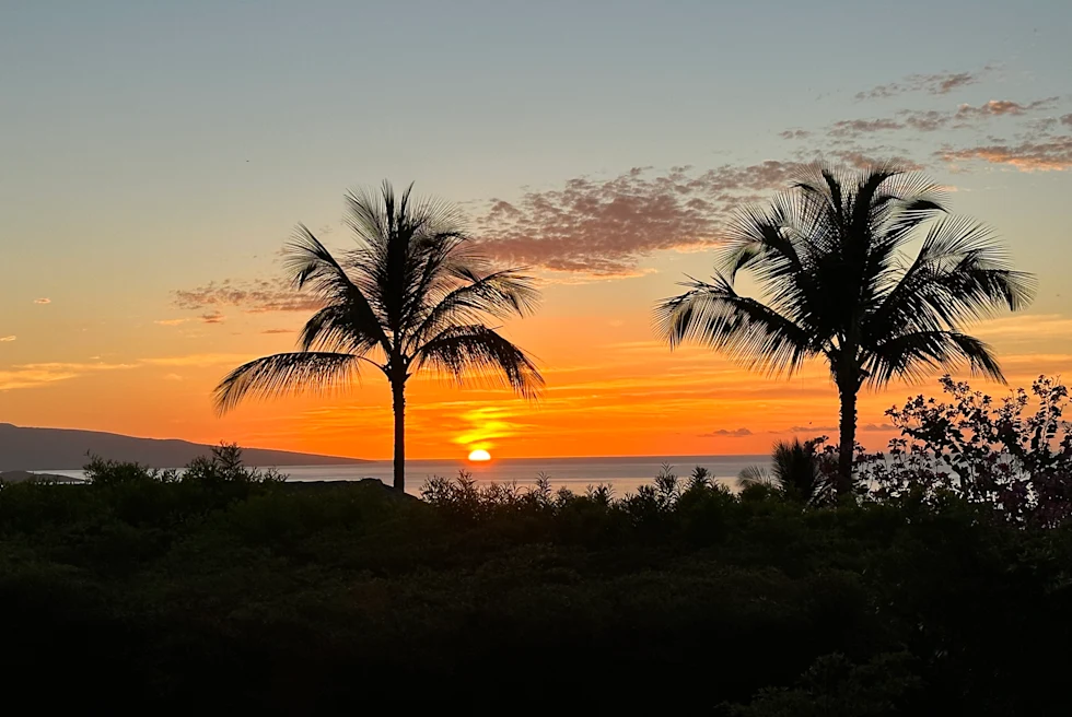 view from the restaurant at hotel wailea