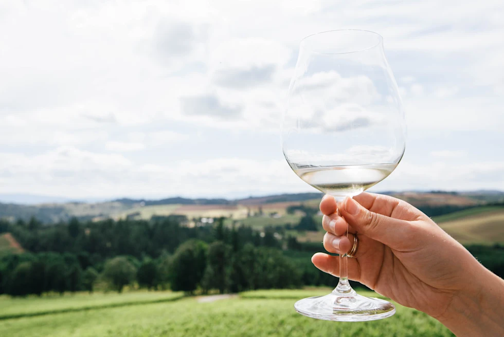 person holding wine glass during daytime