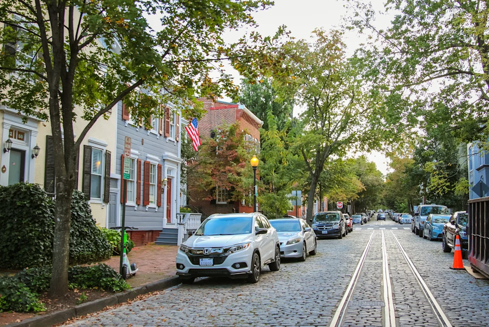 tree lined cobblestone street with parked cars