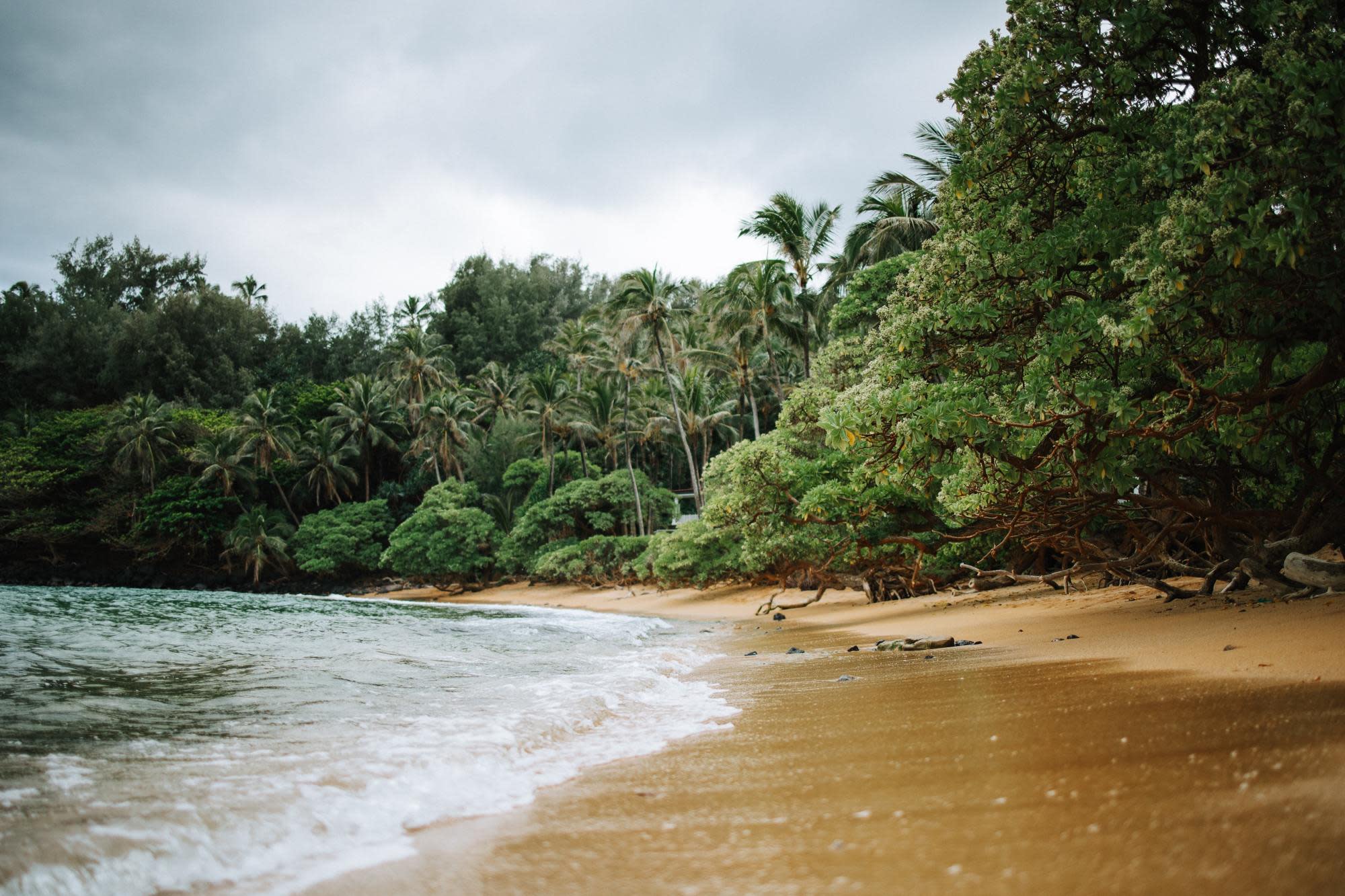 best-area-to-stay-on-kauai-coconut-coast