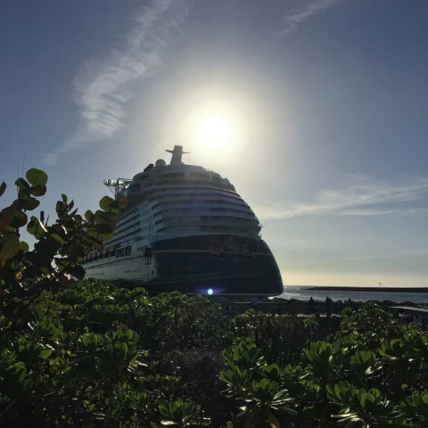 A white cruise under sun.