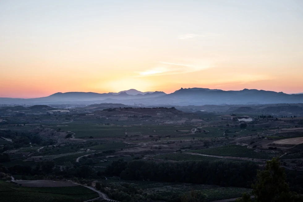 sunset over a vista of wine vineyards