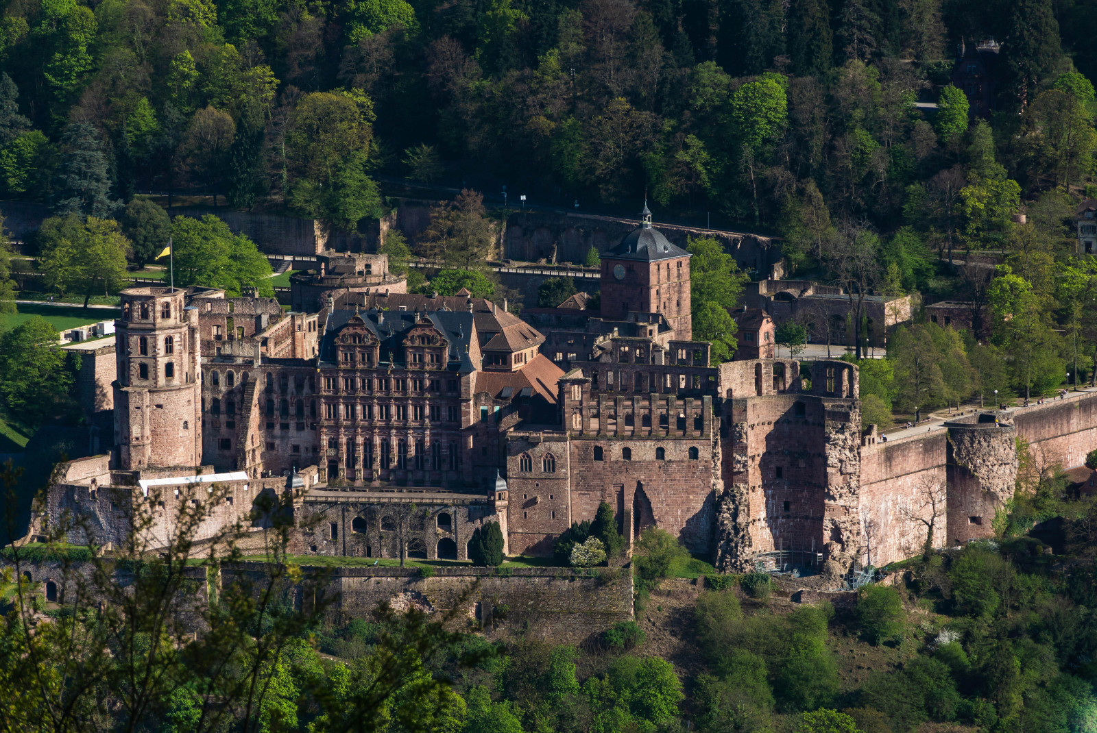 Castle surrounded by trees