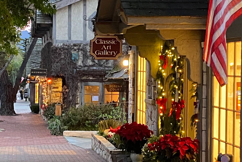 Street lined with buildings during daytime