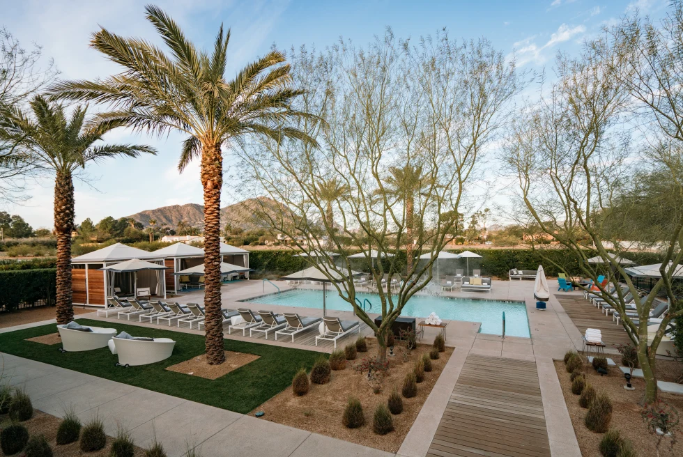 pool and chairs next to palm trees during daytime