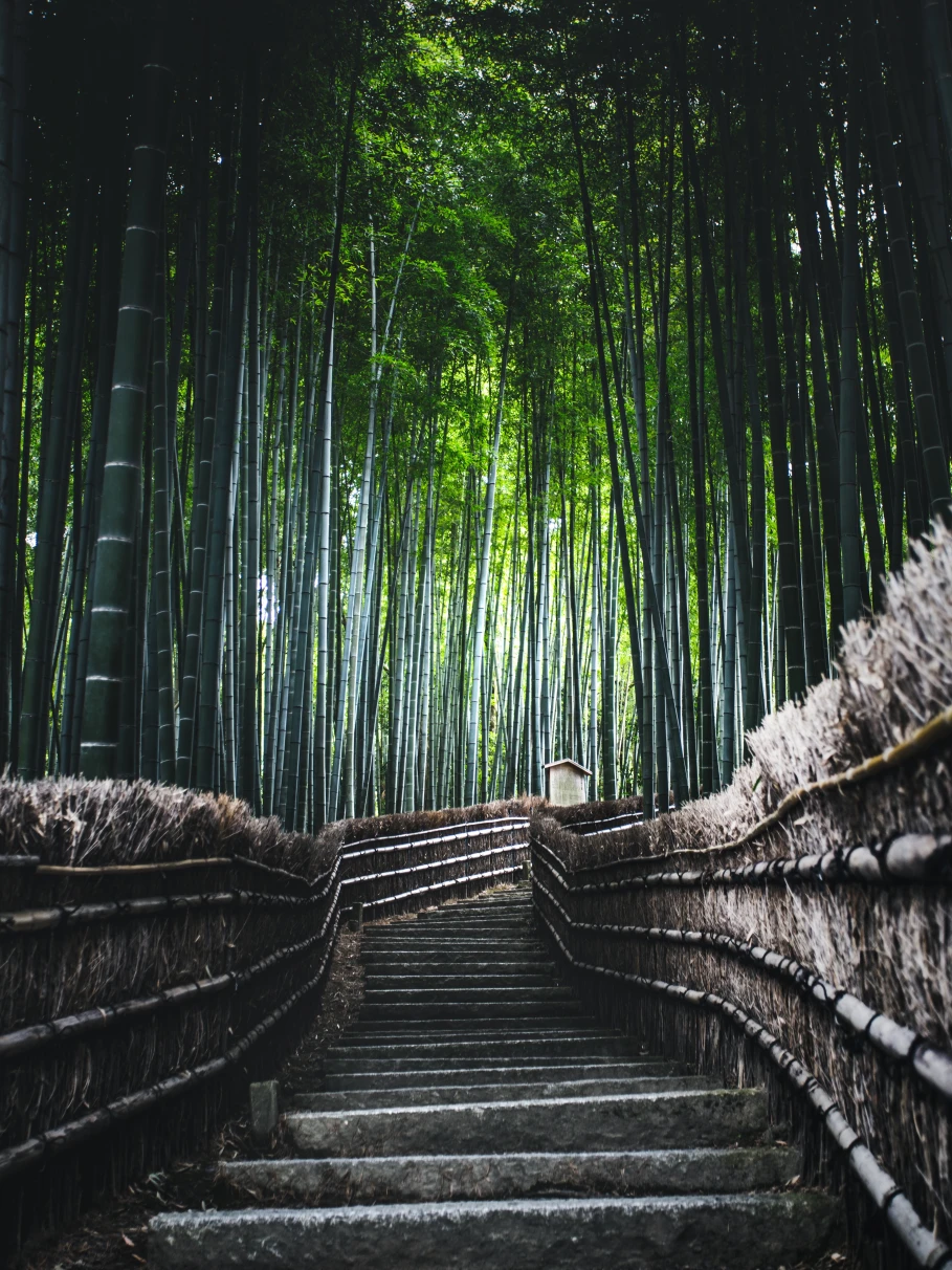 Embrace nature in this bamboo pathwalk.