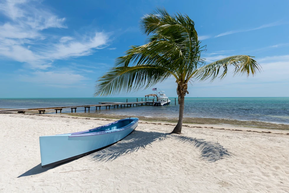 Kayak next to a palm tree on white sand by the ocean in Islamorada