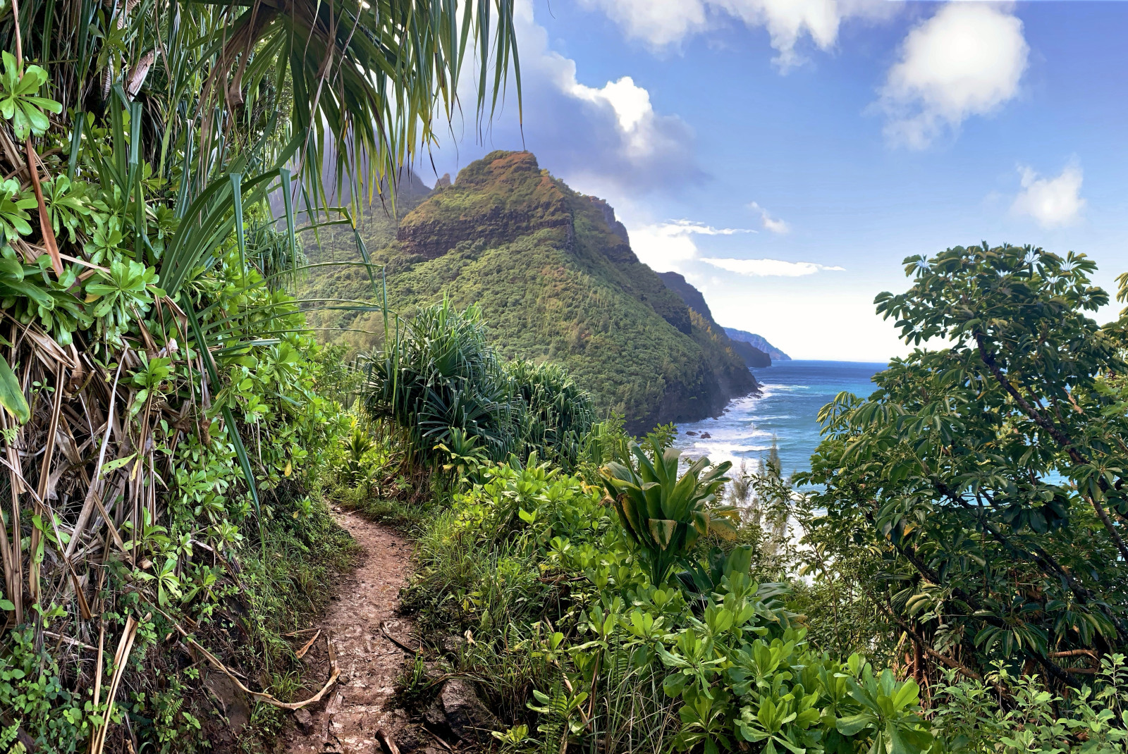 Trail winding with mountain in the distance next to body of water during daytime