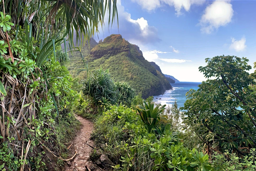Trail winding with mountain in the distance next to body of water during daytime
