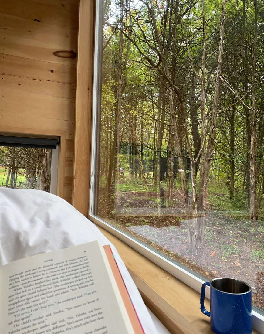 book with a view