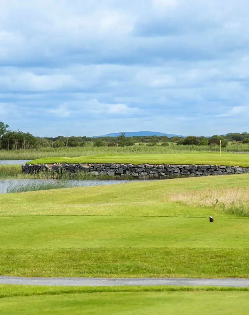 a green expanse of grass under a cloudy sky