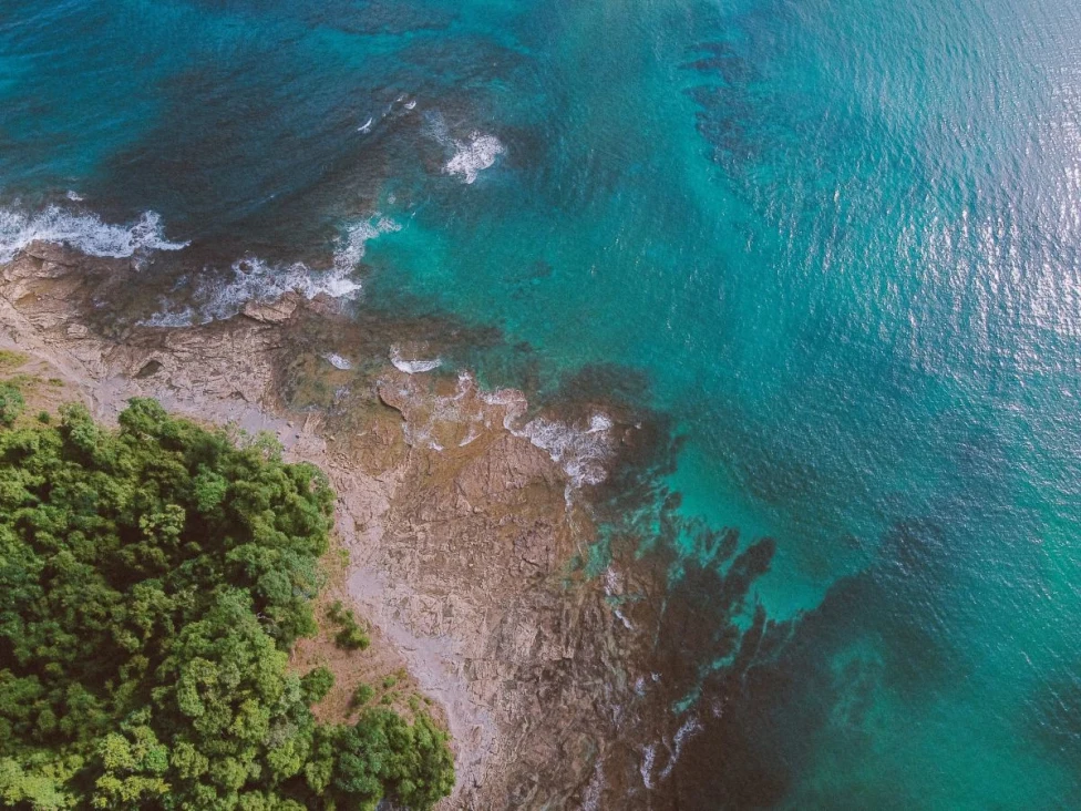 aerial view of a jungle beach near blue ocean