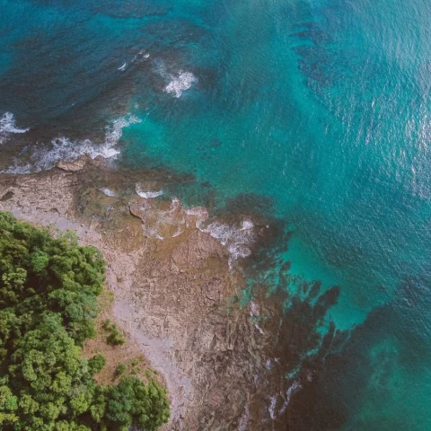 aerial view of a jungle beach near blue ocean