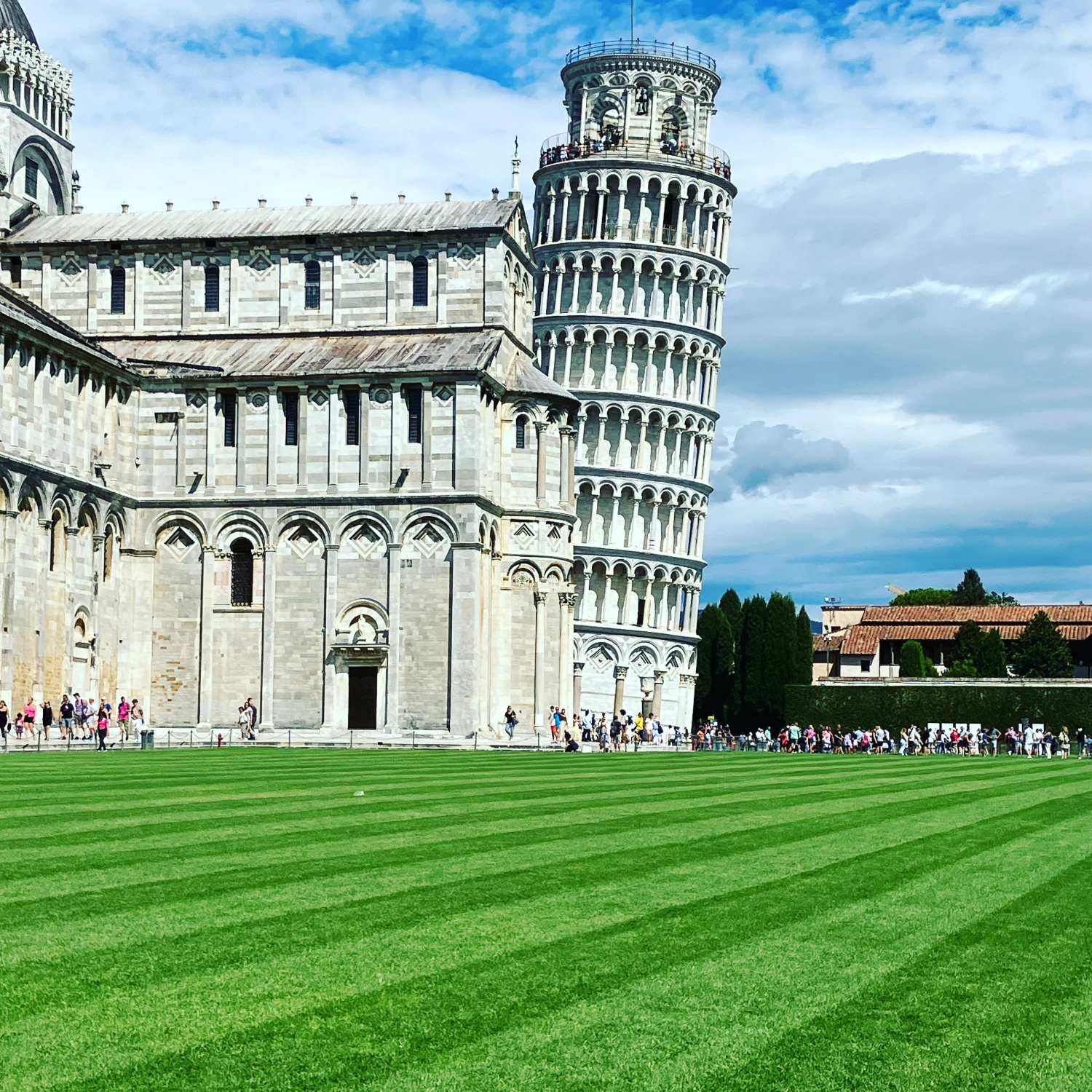 Tower of Pisa with green grounds outside