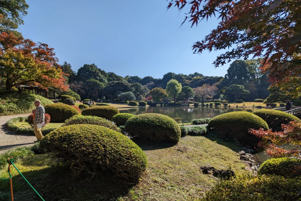 Tokyo, Japan gardens.