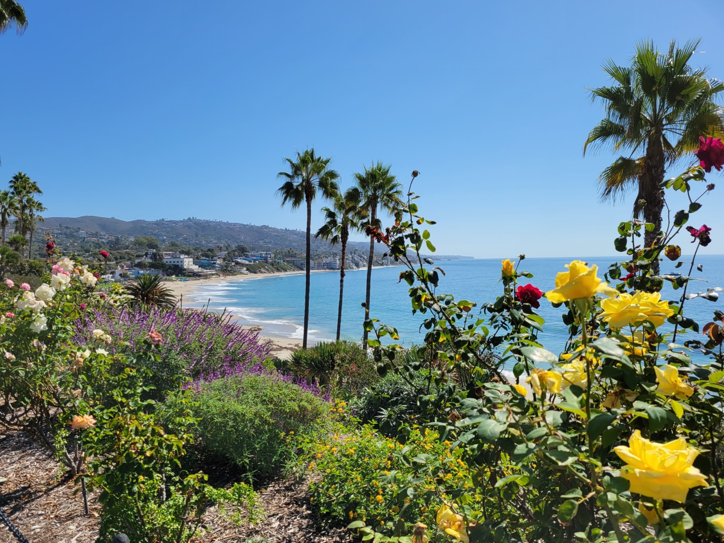 Green plants and yellow flowers in foreground with blue ocean and golden sand in distance