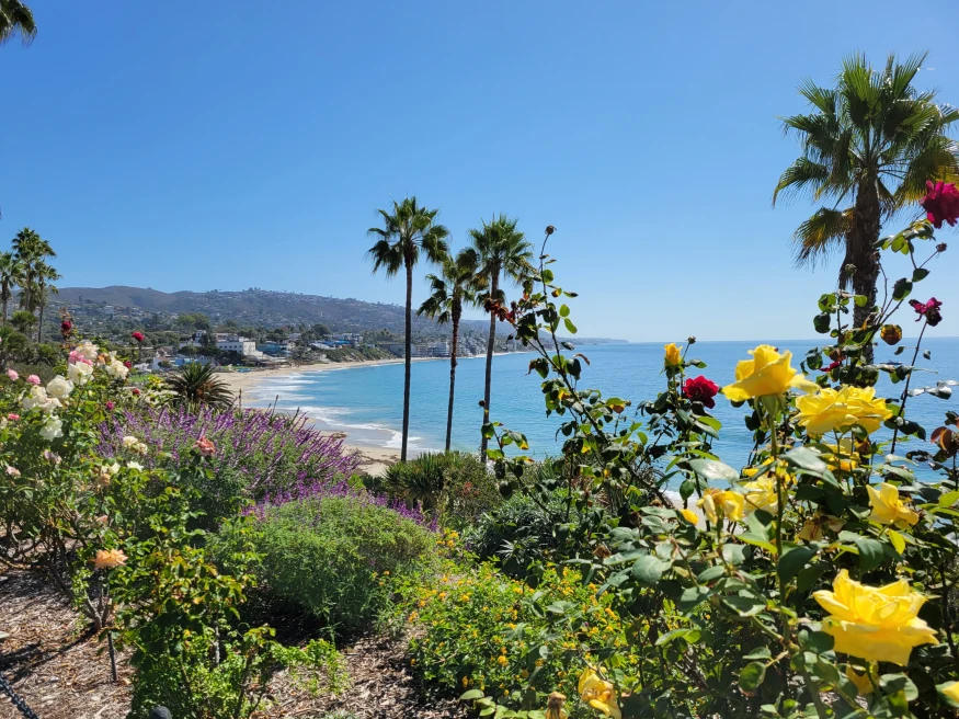 Green plants and yellow flowers in foreground with blue ocean and golden sand in distance