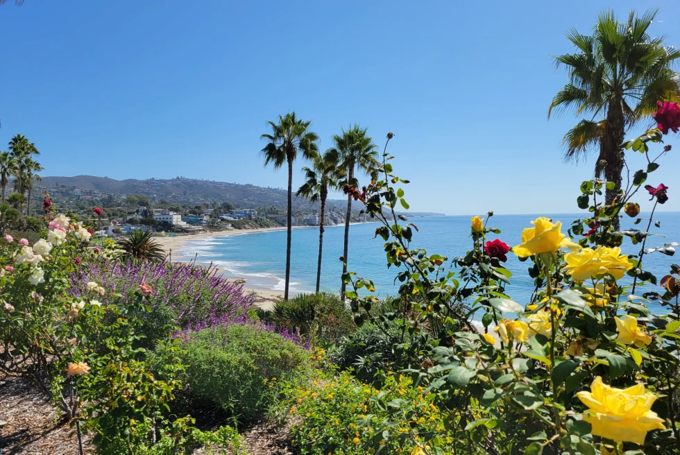 Green plants and yellow flowers in foreground with blue ocean and golden sand in distance