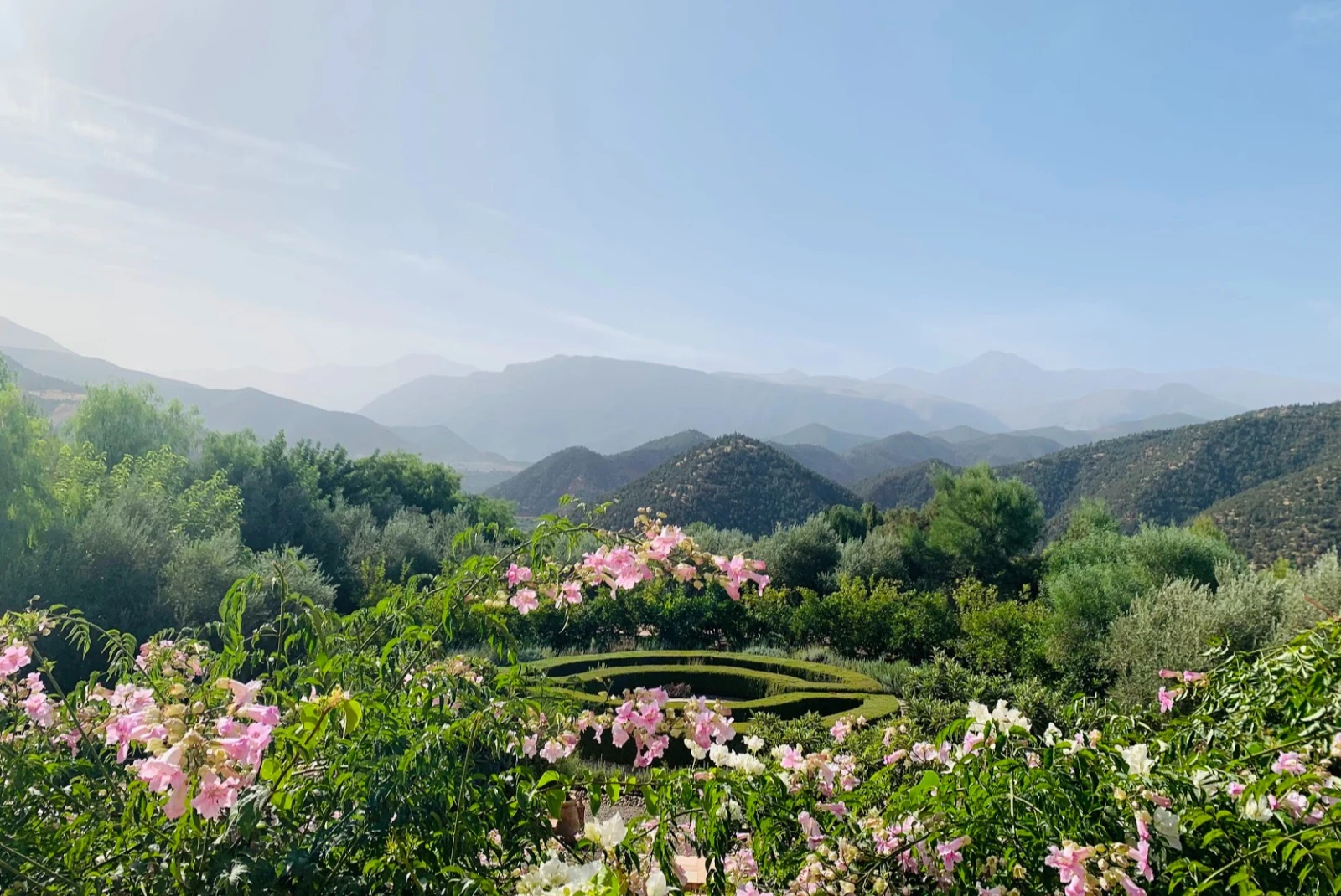 lush mountain landscape with pink flowers on a sunny day