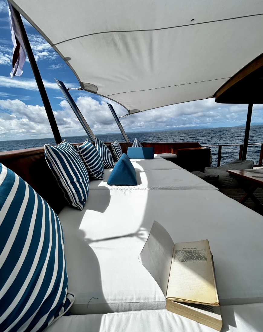 Outside deck of the Rascal Yacht with plush cushions, outdoor furniture and the sea in the distance.  