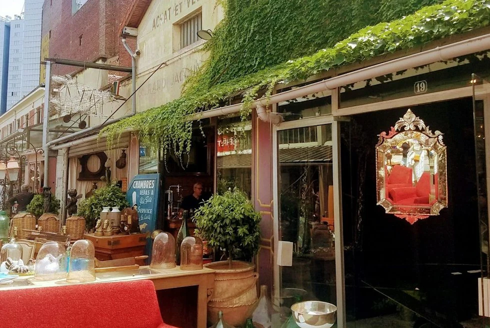 Chairs outside building covered with moss during daytime
