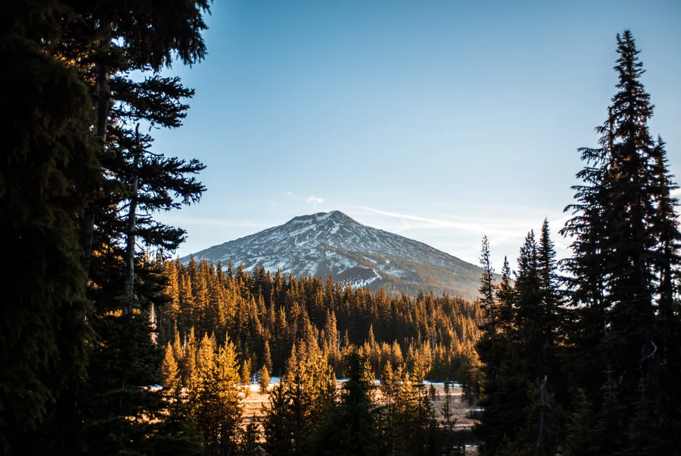 Sunset reflecting on the trees with mountain in background