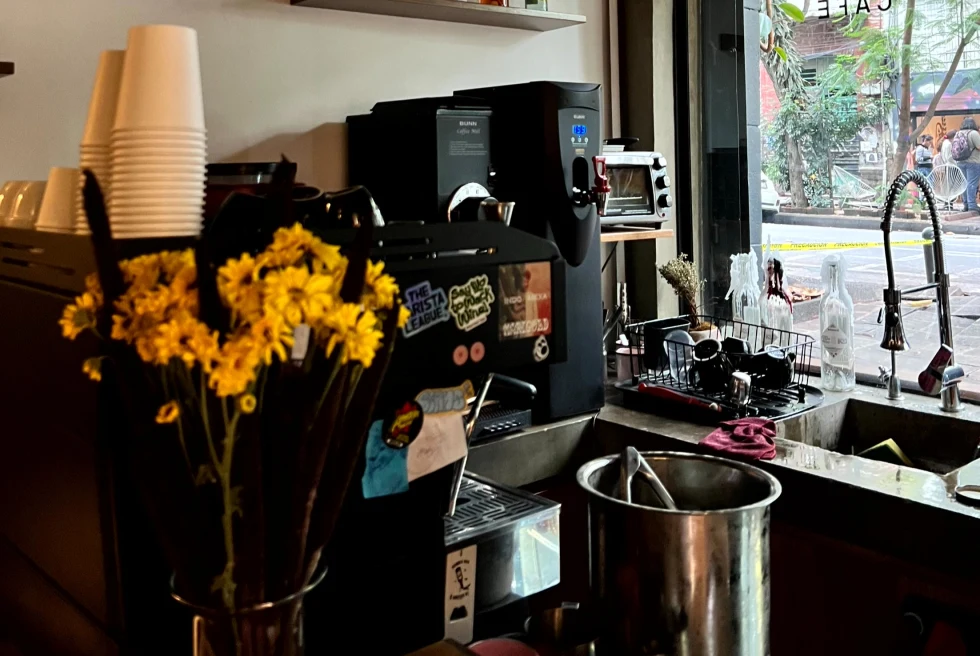 A kitchen window in daytime.