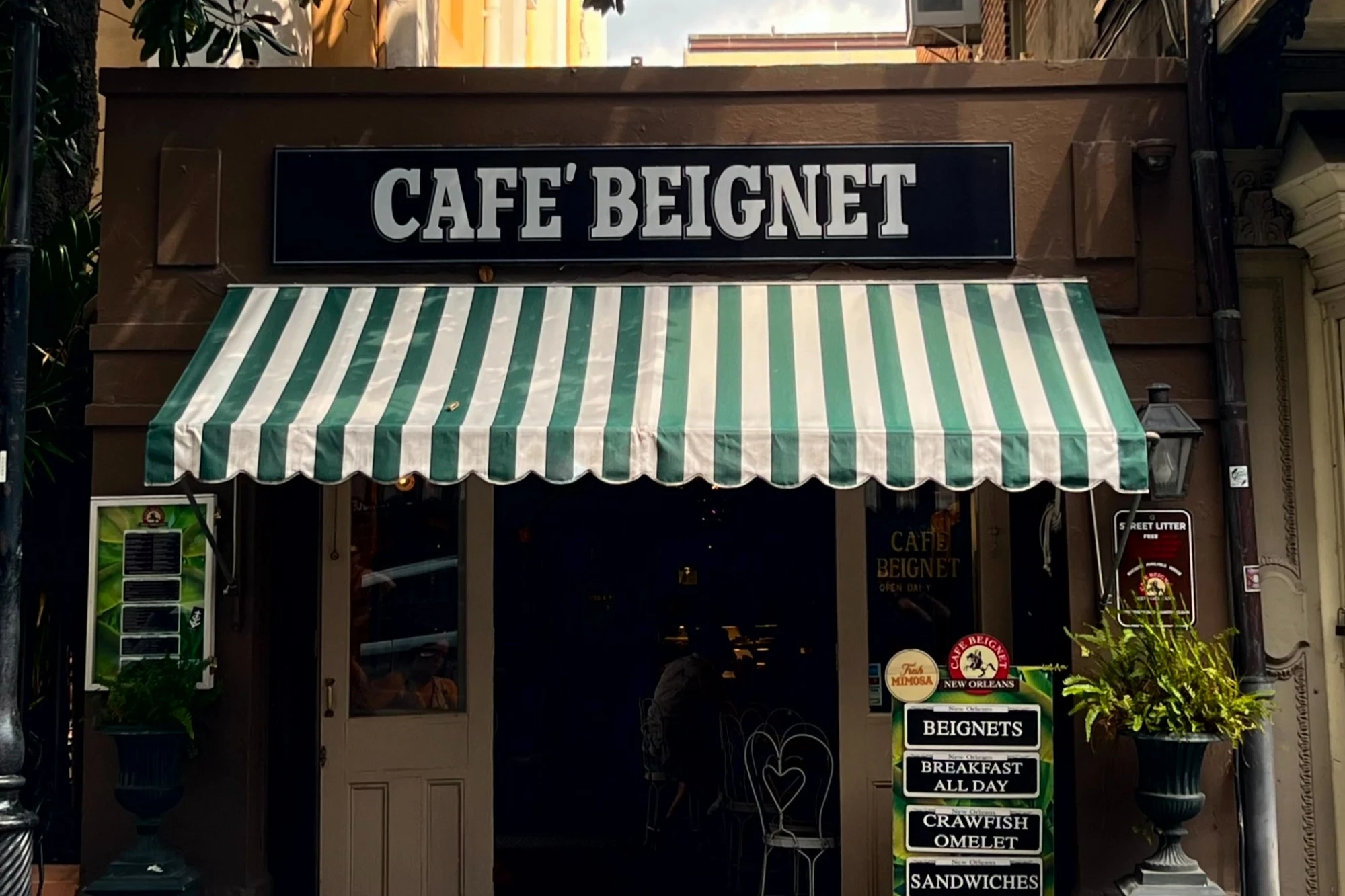 Cafe in Nola