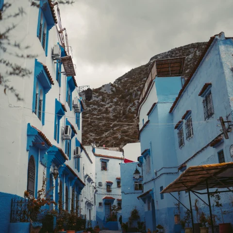 White buildings with blue windows