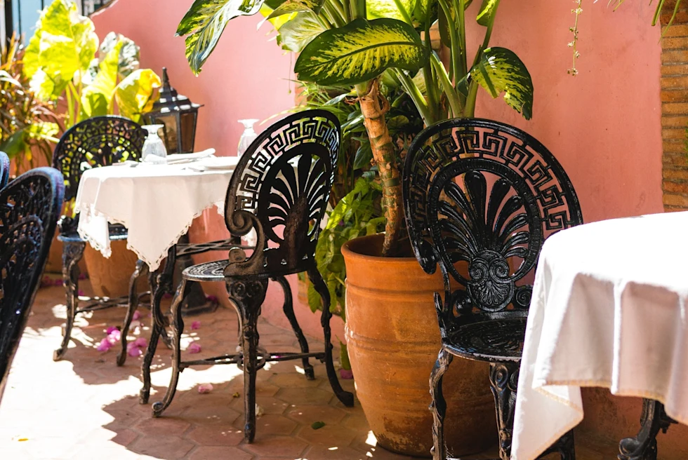 An outside view of restaurant with table, chairs and plants