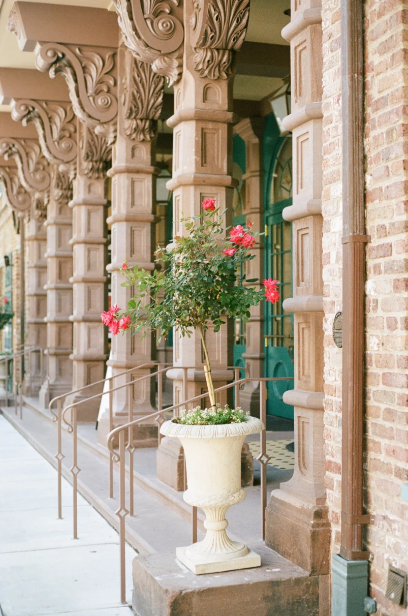 Charleston Downtown stoops and flowers. 