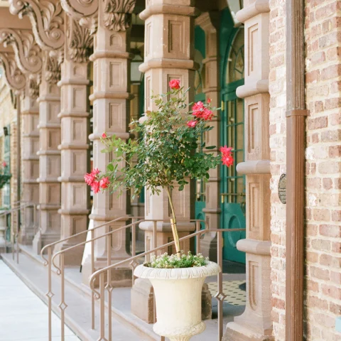 Charleston Downtown stoops and flowers. 