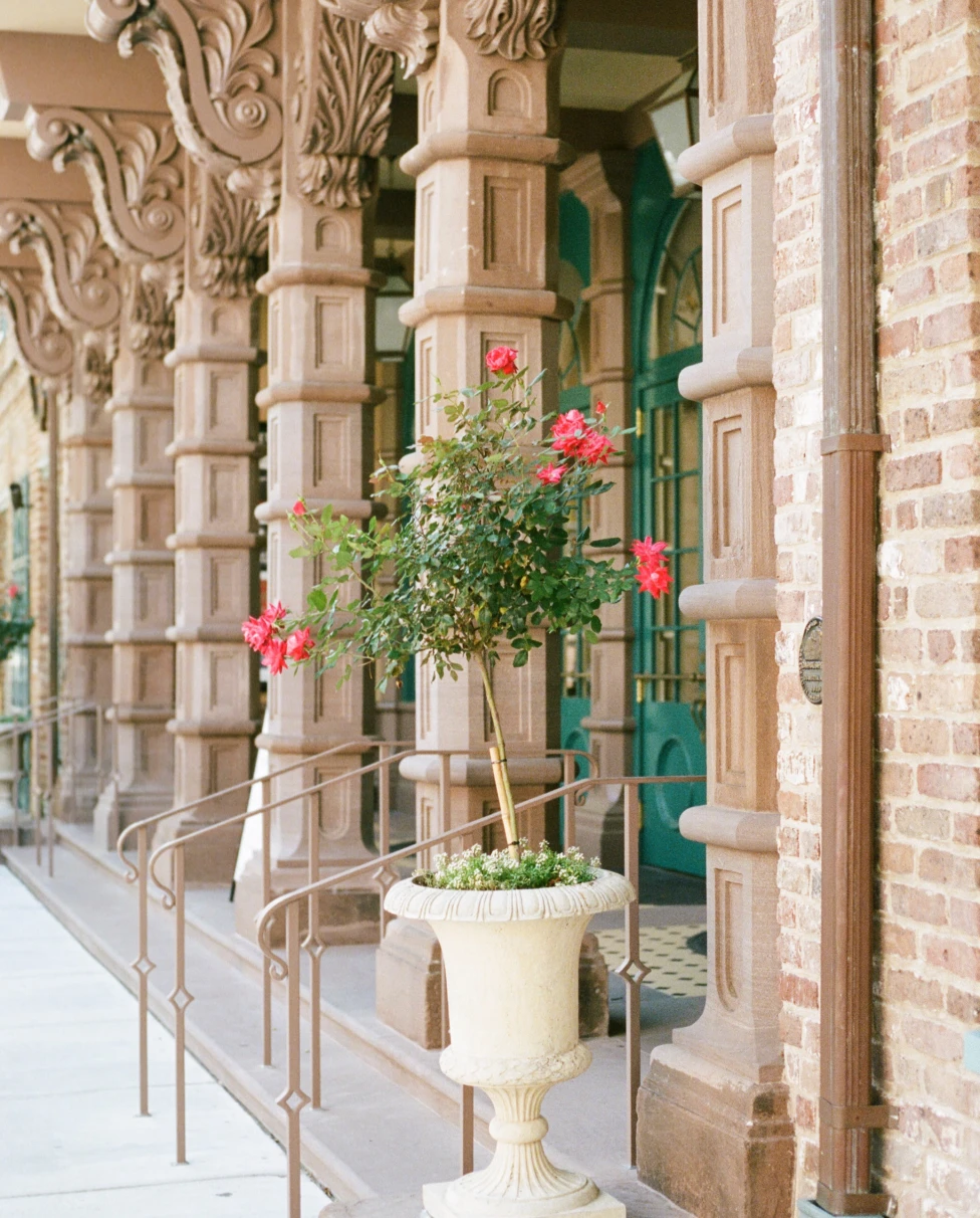 Charleston Downtown stoops and flowers. 