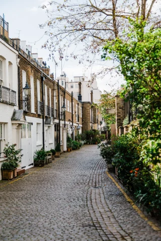Street in London lined with townhomes and green foliage