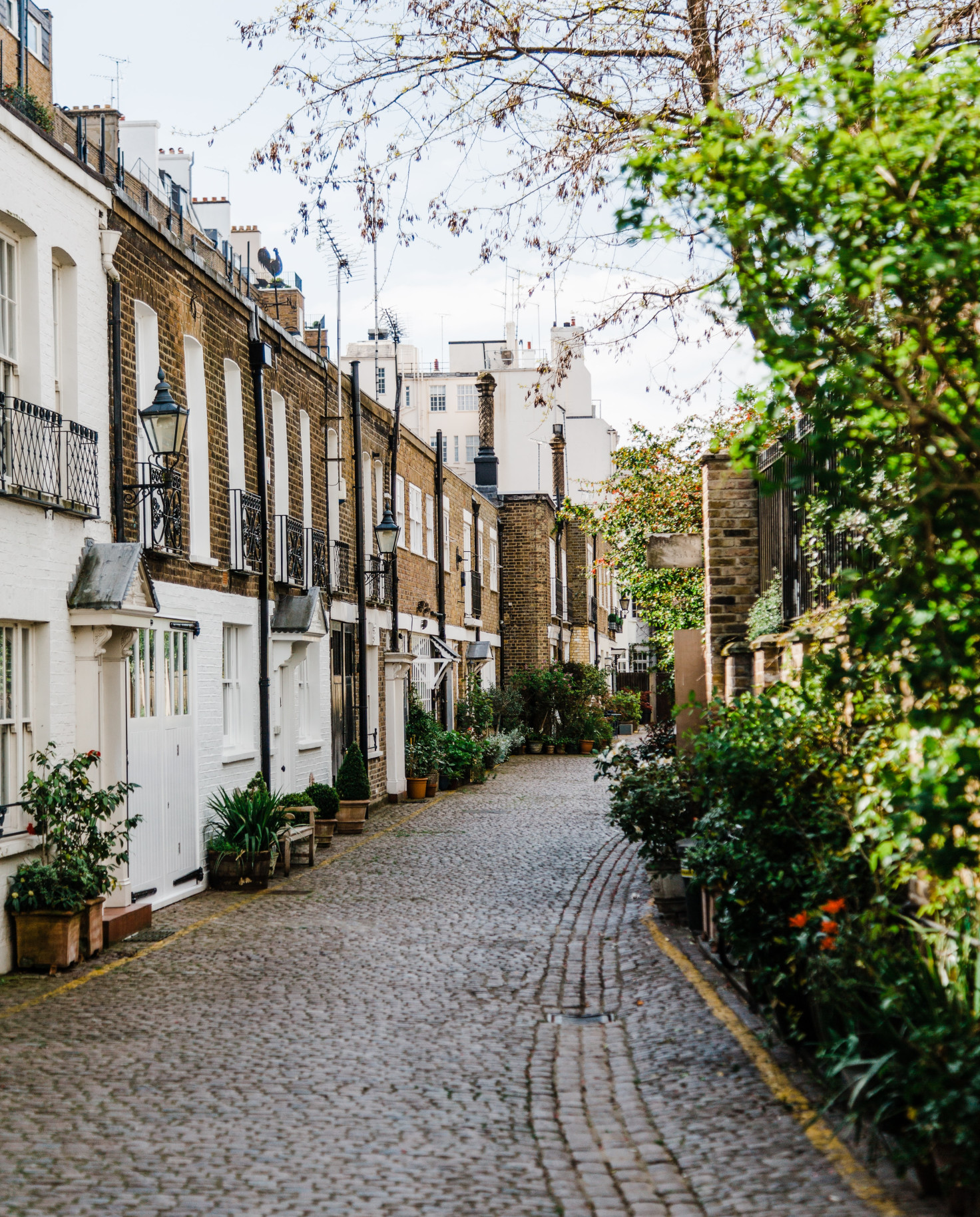 Street in London lined with townhomes and green foliage