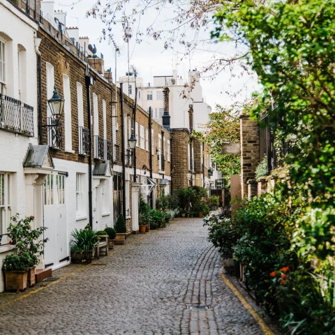 Street in London lined with townhomes and green foliage