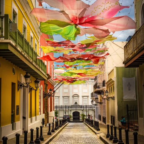 Street with colorful umbrellas hanging overhead during daytime