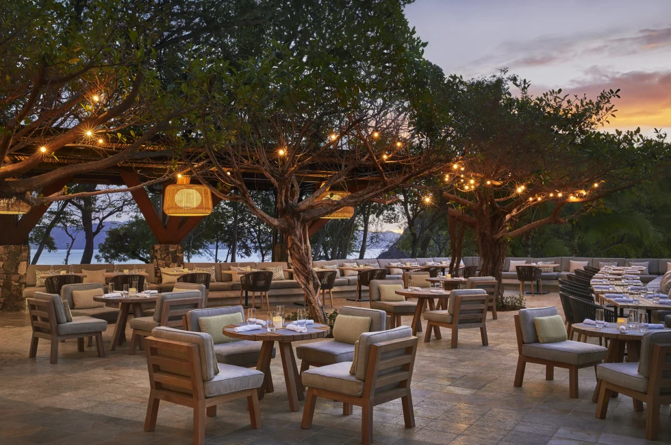 chairs and tables next to large trees during sunset