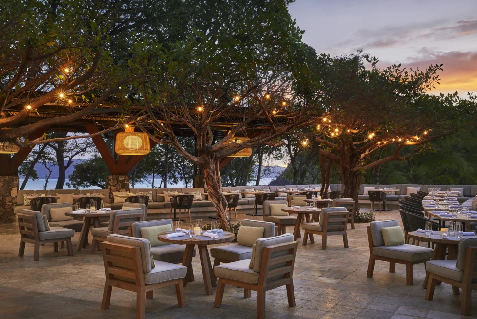 chairs and tables next to large trees during sunset