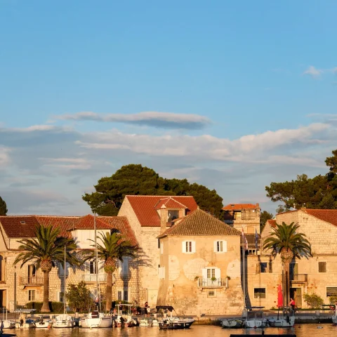 buildings with golden hour sun and harbor