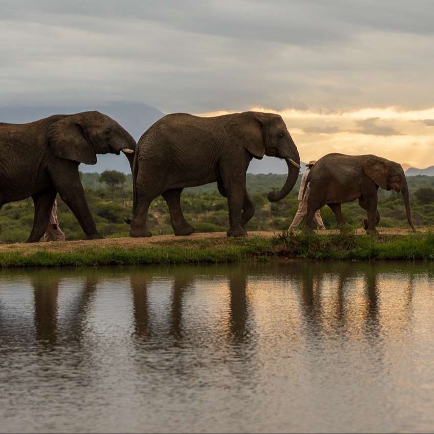 Two Amazing Safari Lodges In South Africa Greater Kruger National Park