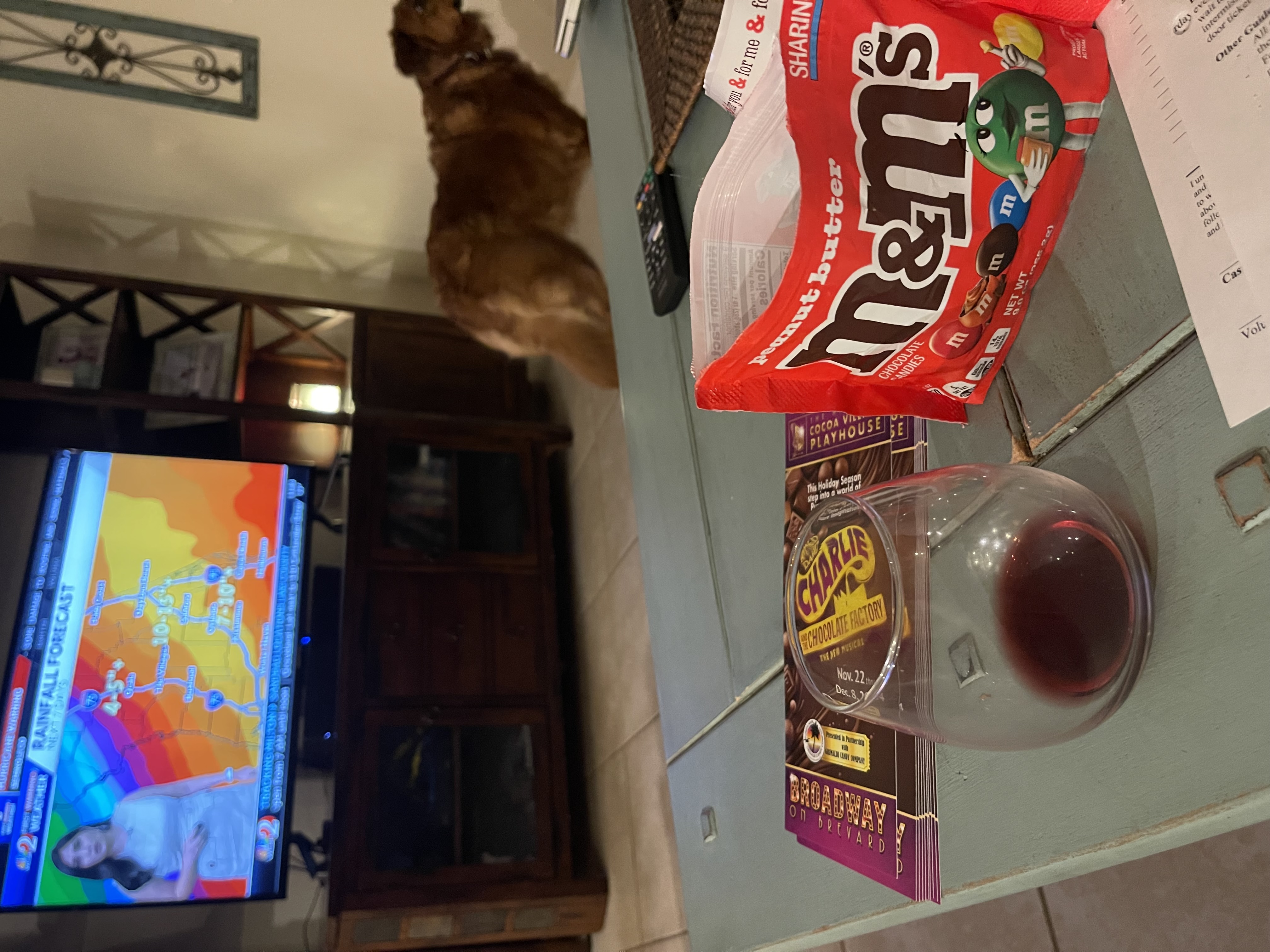 Ayn Anderson Fora Travel