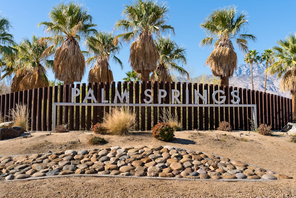 large sign next to palm trees during daytime