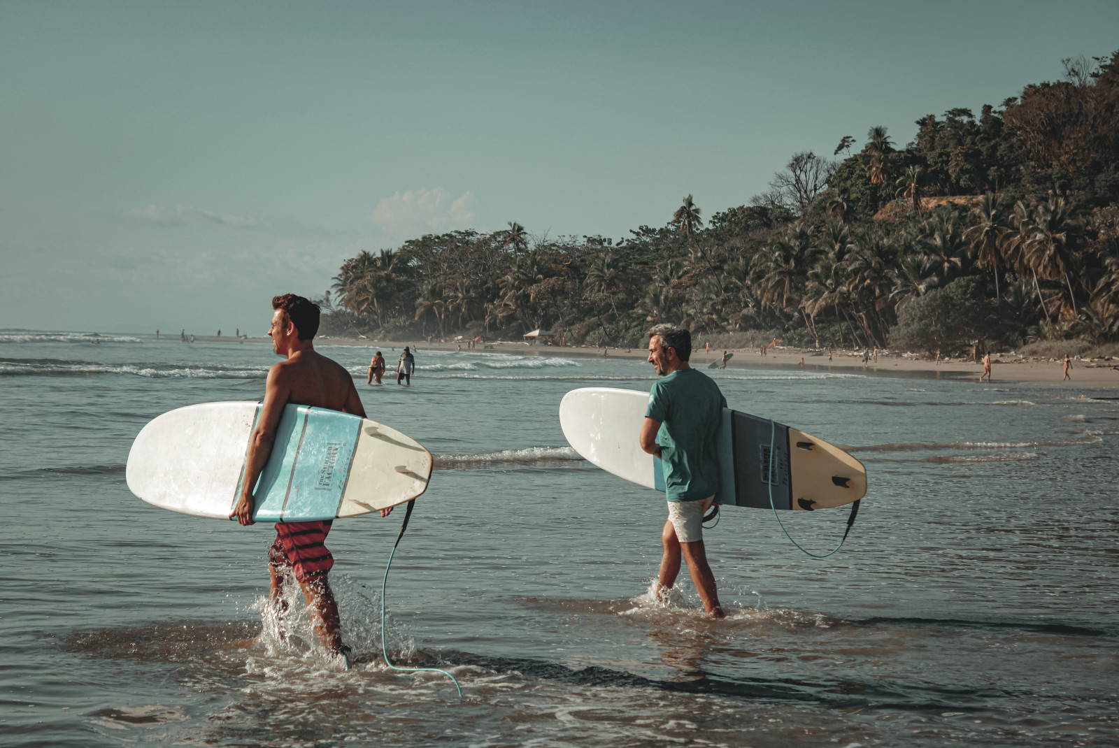 Two surfers in Costa Rica with white and blue surfboards walking in shallow blue water with green lush trees in the background.
