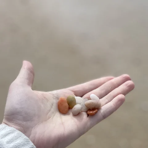 Joslyn's palm holding out pebbles on a beach.