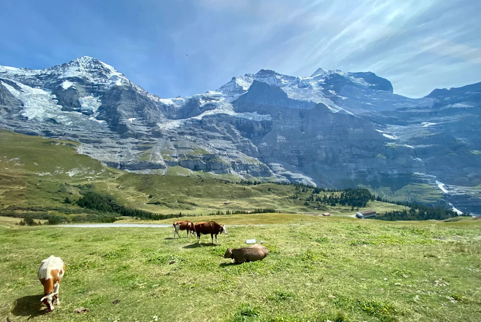 Views from train travel